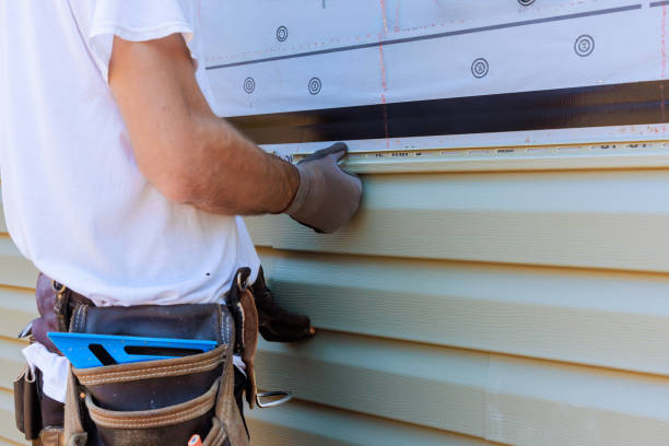 Affordable Siding Replacement solutions in Rochelle, VA